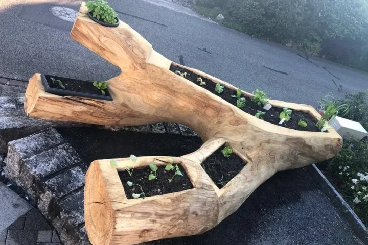 Planzen_Holzprodukt1