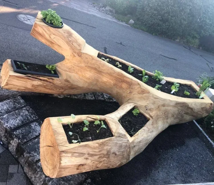 Planzen_Holzprodukt1